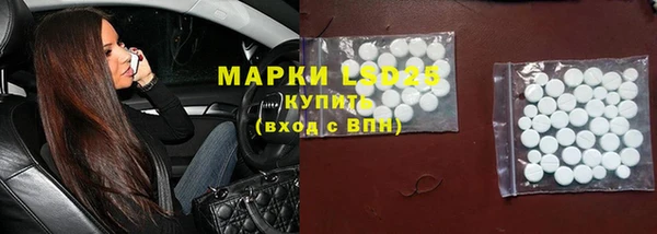 спиды Бородино