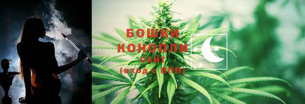 молекула духа Бронницы