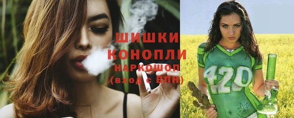 молекула духа Бронницы