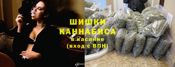 спиды Бородино
